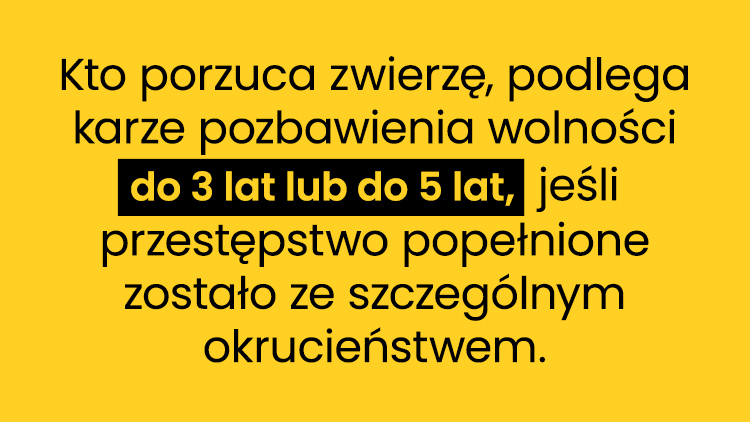 porzucone zwierzęta