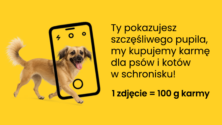 karma dla psa