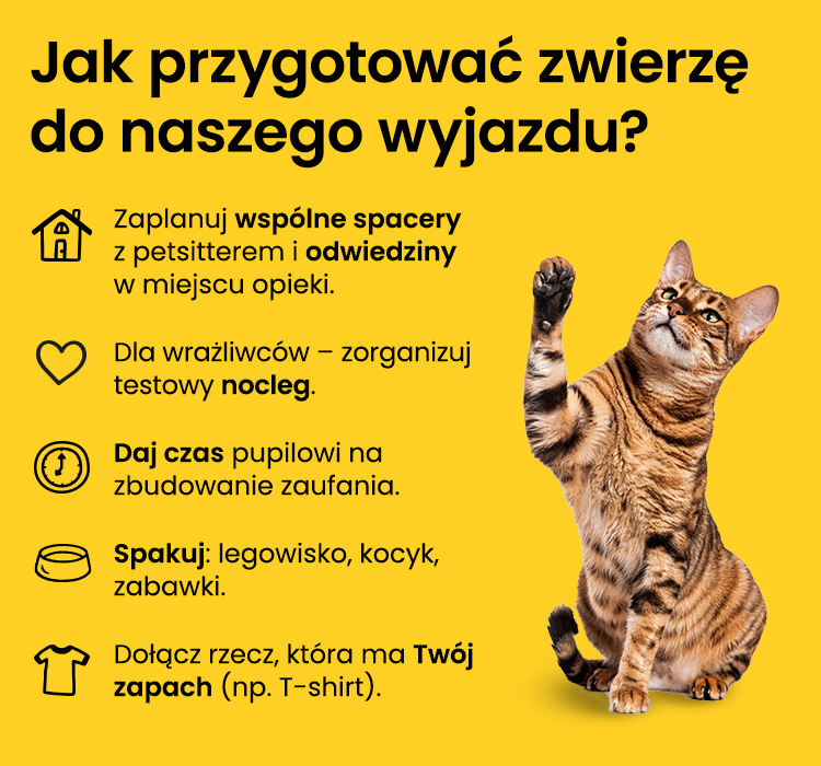 planowanie wyjazdu bez psa