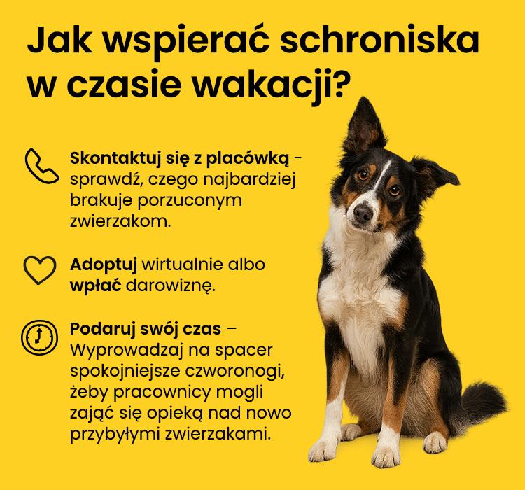 schoroniska dla zwierząt
