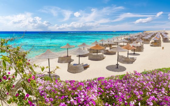 Marsa el Alam