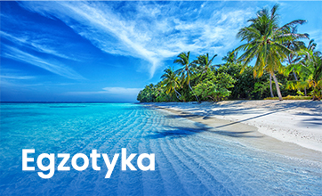 Egzotyka