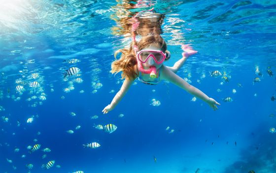 wycieczki fakultatywne egipt