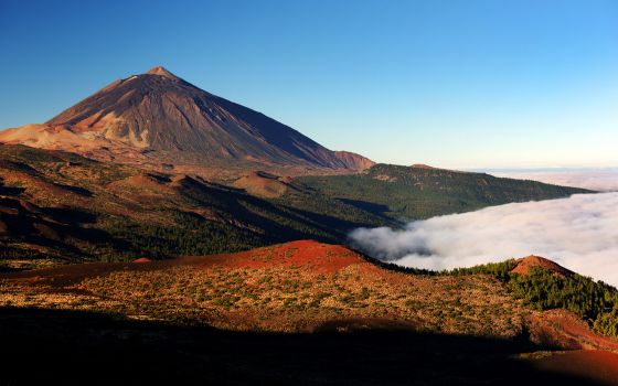 Wycieczki Lokalne Teneryfa