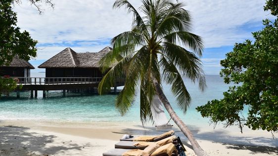 Zdjęcie destynacji Bandos Island