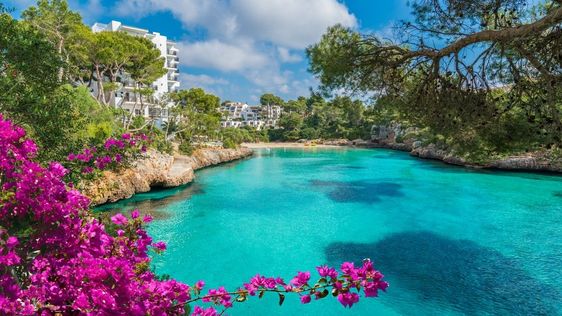 Zdjęcie przedstawiające plaża w Cala d'Or