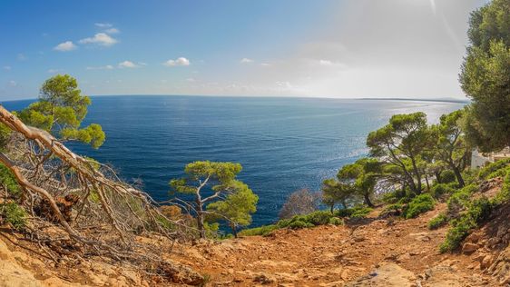 Zdjęcie przedstawiające zwiedzanie w Costa de los Pinos