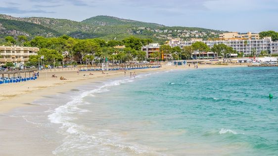 Zdjęcie przedstawiające plaża w Puerto De Alcudia