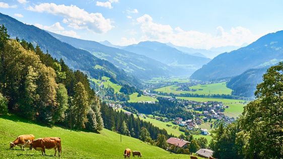 Zdjęcie przedstawiające zwiedzanie w Ramsau im Zillertal