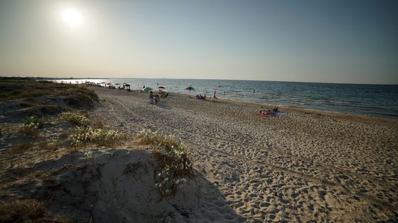 Zdjęcie przedstawiające plaża w Torre Rinalda