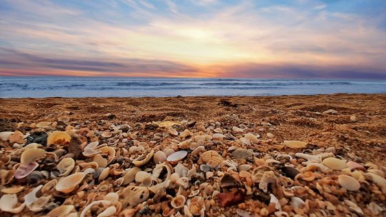 Zdjęcie przedstawiające plaża w Wadduwa