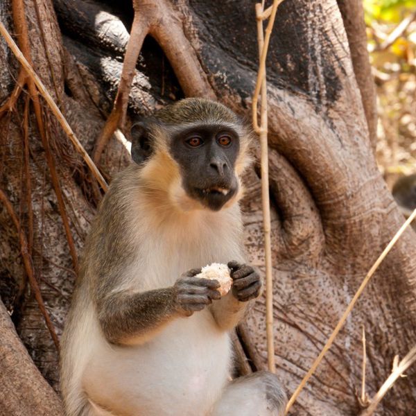 Przez wydmy Dakaru – 2026-04-03 - Zdjęcie 3