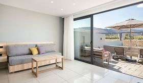 Rm double standard room (private-poolterrace viptreatment)