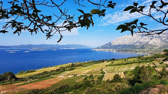 Zdjęcie destynacji Peljesac