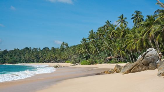 Zdjęcie przedstawiające plaża w Południowa Prowincja Sri Lanki