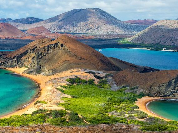 Galapagos - Gala zwierząt