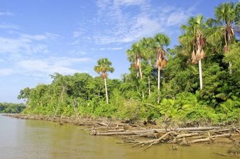 Wenezuela - Indianie, dżungla, wodospady