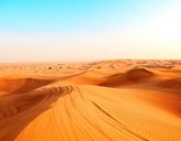 Sztuka targowania - Arabia Saudyjska i Bahrajn