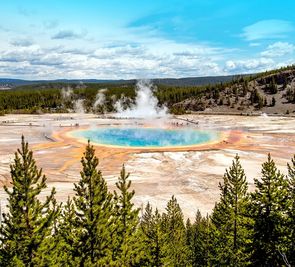 Dzika przyroda USA: od Yellowstone po Arches