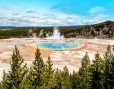 Dzika przyroda USA: od Yellowstone po Arches