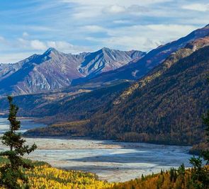 Kanada i Alaska - Łosie i Łososie