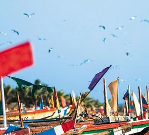 Egzotyka Light - Senegal