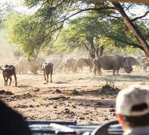 Namibia - Botswana - Zimbabwe