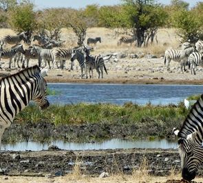 Namibia dla koneserów