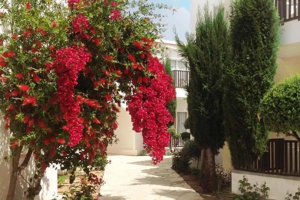 Akti Beach Village Resort