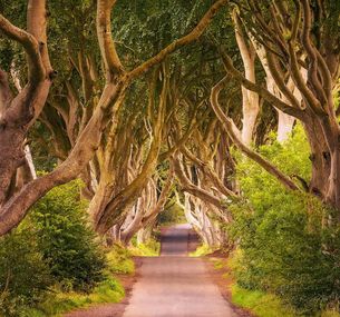 zdjęcie oferty Legendy wykute w skałach - Irlandia i Irlandia Płn