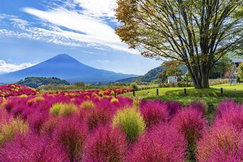 Japonia - Aktywny Zen