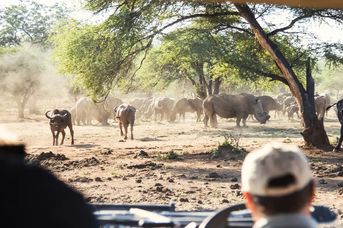 Namibia - Botswana - Zimbabwe