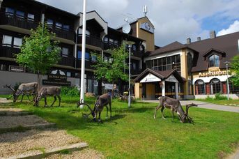 Lapland Riekonlinna