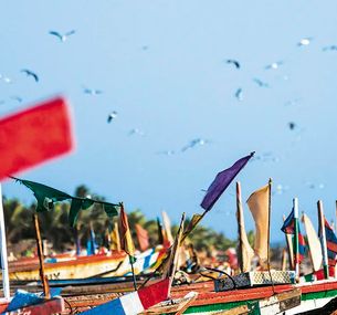 zdjęcie oferty Egzotyka Light - Senegal