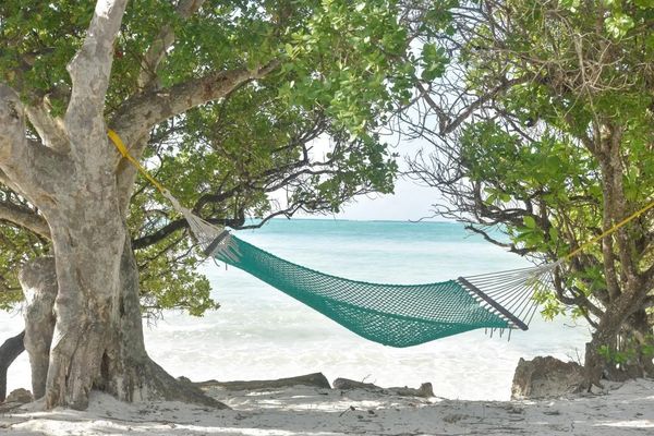 Pearl Beach By Sansi