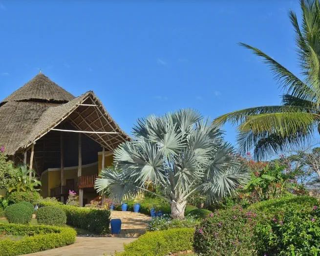 Gold Zanzibar