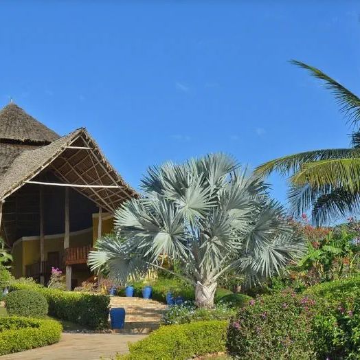 Gold Zanzibar