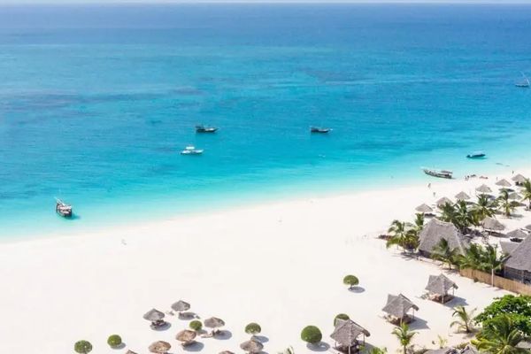 Gold Zanzibar