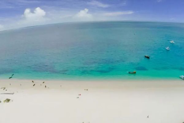 Gold Zanzibar