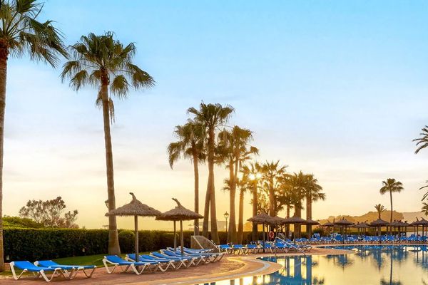 Sol Milanos Pinguinos