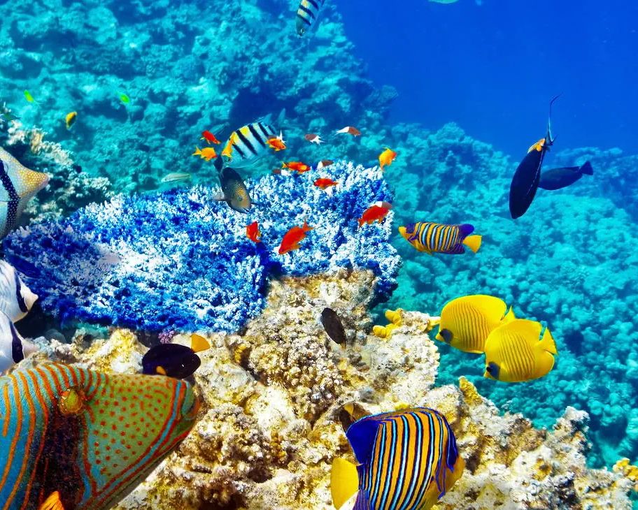 Marsa Alam Holiday Tour