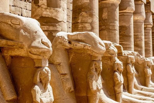 Marsa Alam Holiday Tour