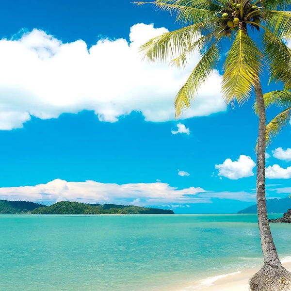 Wakacje Pod Palmami! Wyspy Malezji – 2025-12-11