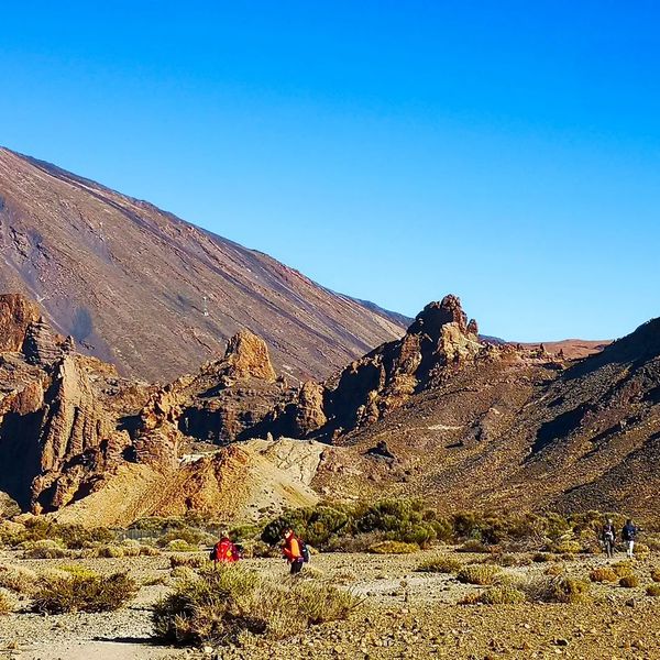 Teneryfa w kolorach natury