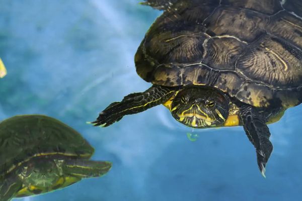 Rodzinna przygoda - Kreta