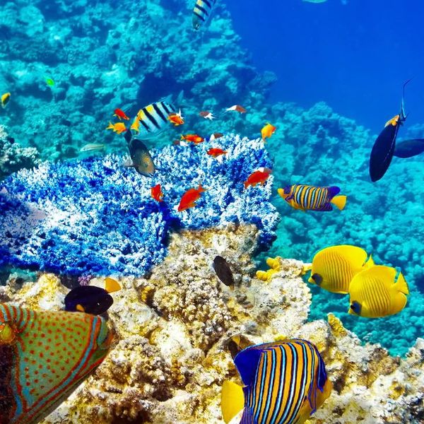 Marsa Alam Holiday Tour