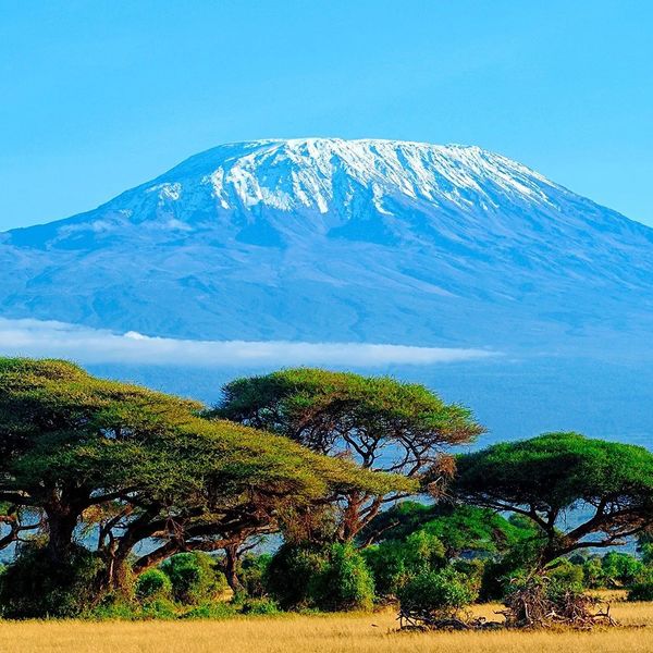 Śniegi Kilimandżaro Prideinn Flamingo Beach Resort Spa – 2026-03-19