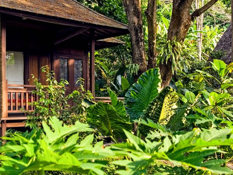 Barefoot at Havelock