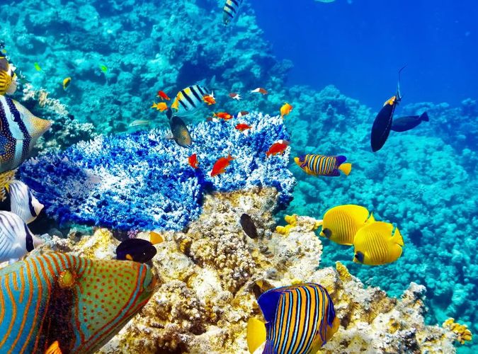 Marsa Alam Holiday Tour