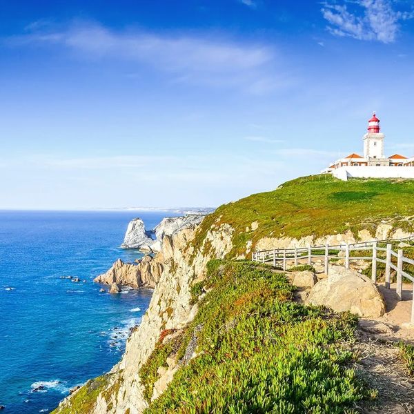 Atlantycka Ślicznotka